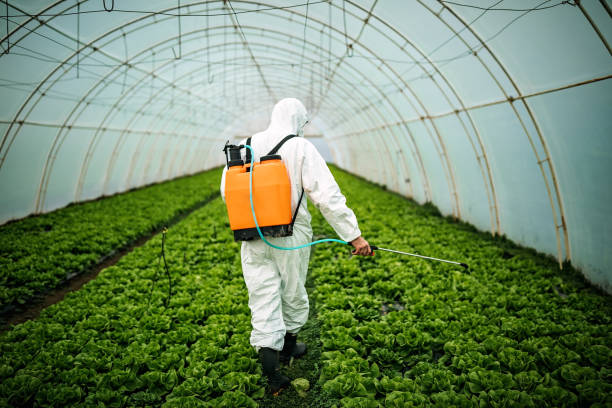 Best Residential Pest Control  in Lisbon Falls, ME