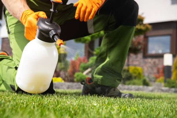 Best Pest Control for Restaurants  in Lisbon Falls, ME