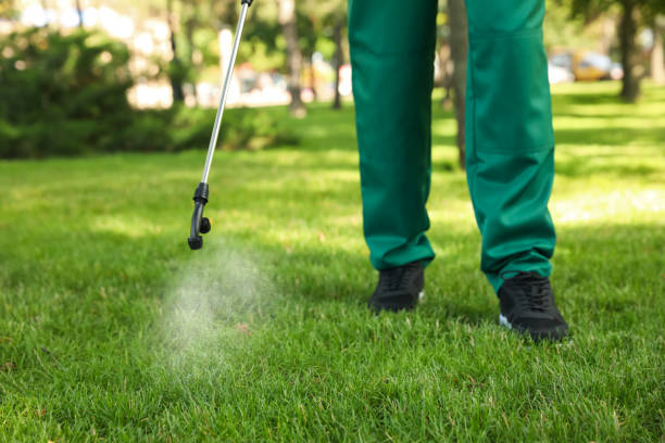 Best Flea Control Services  in Lisbon Falls, ME