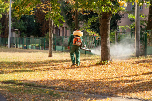 Best Mosquito Control Services  in Lisbon Falls, ME