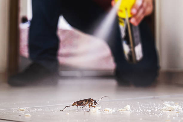 Best Termite Control Services  in Lisbon Falls, ME