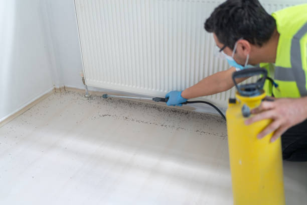 Pest Control for Restaurants in Lisbon Falls, ME