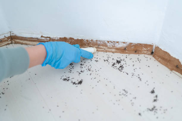 Best Pest Inspection Near Me  in Lisbon Falls, ME